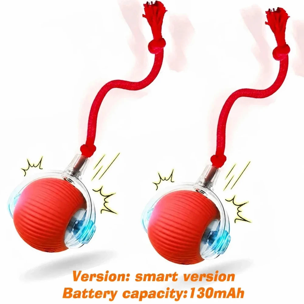 Smart Interactive Dog Ball