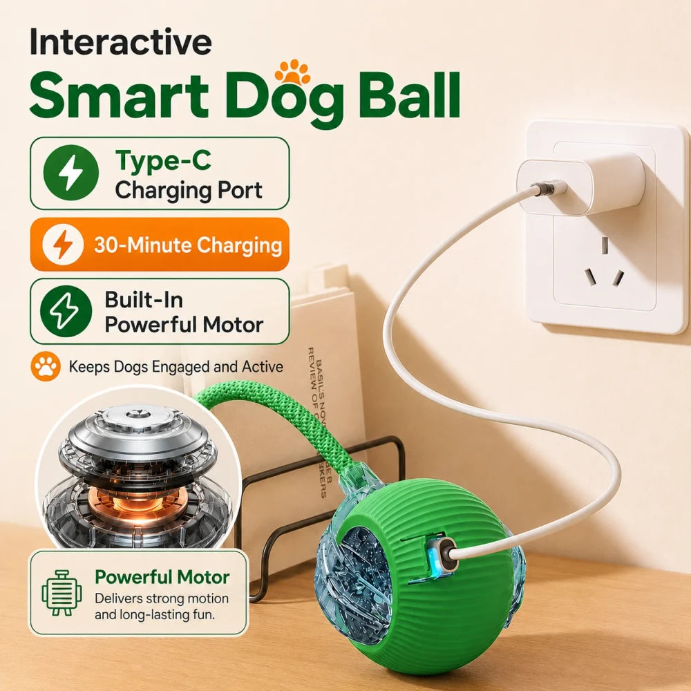 Smart Interactive Dog Ball