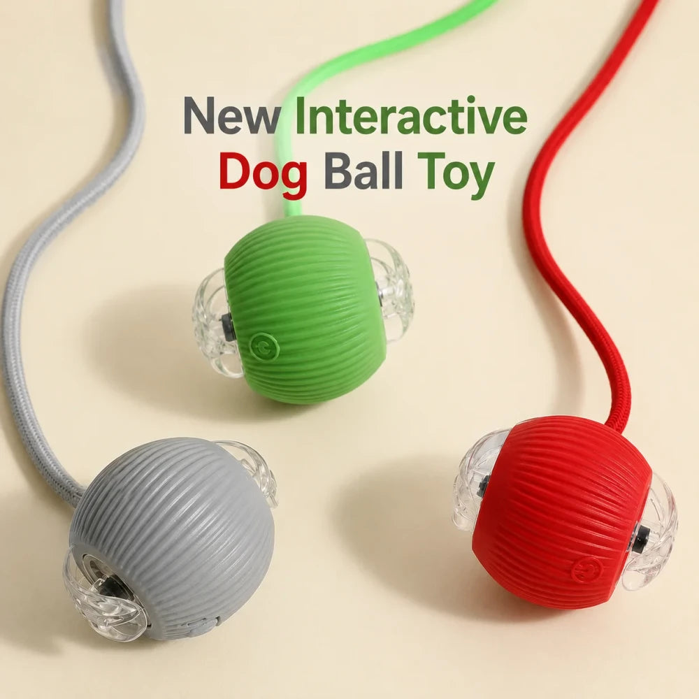 Smart Interactive Dog Ball