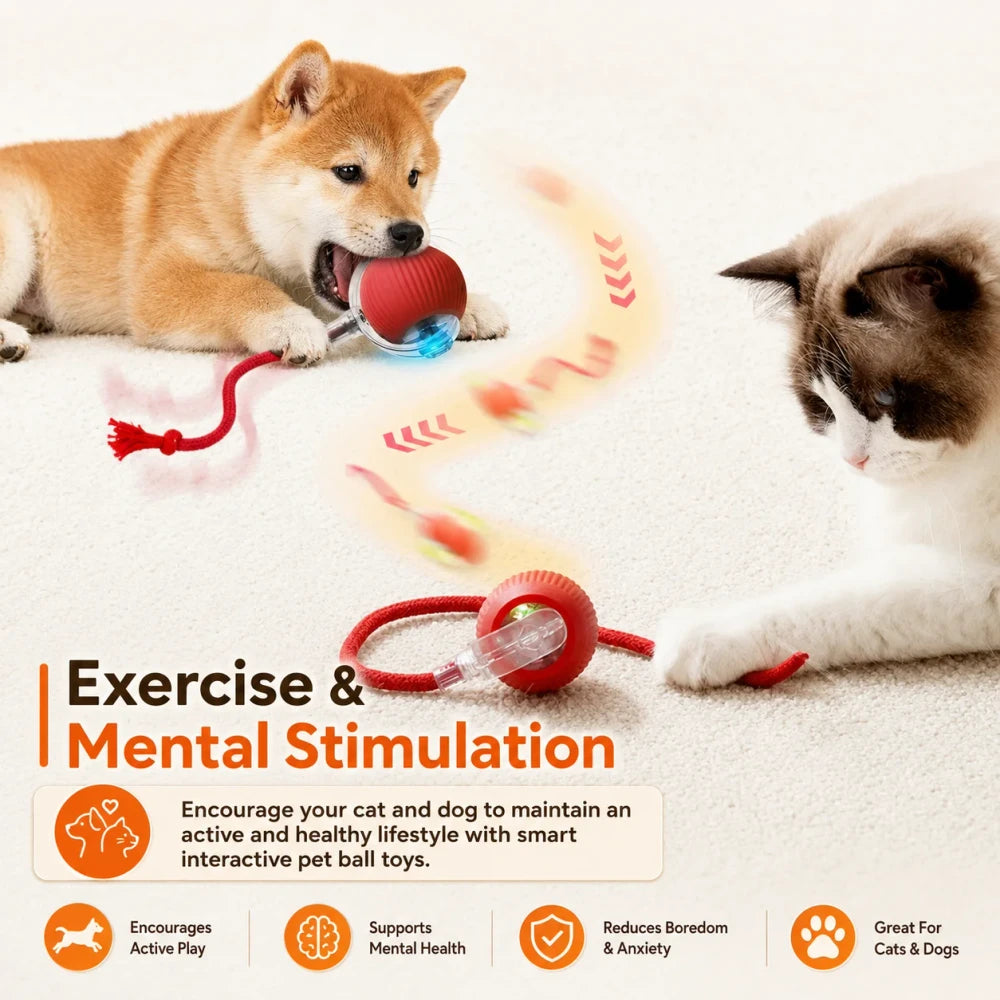 Smart Interactive Dog Ball