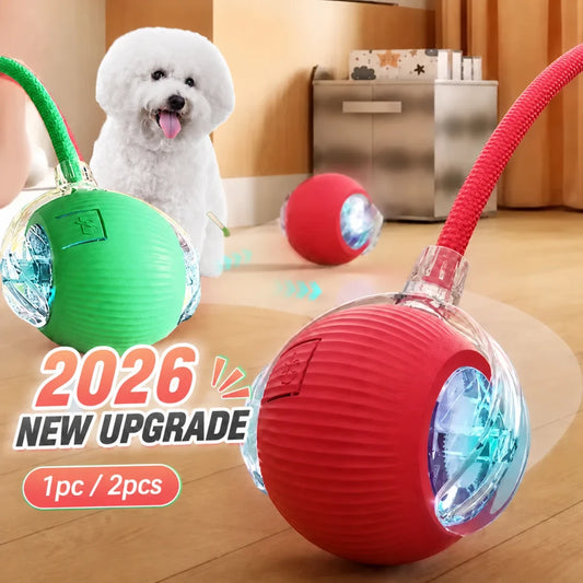 Scout Interactive Dog Ball