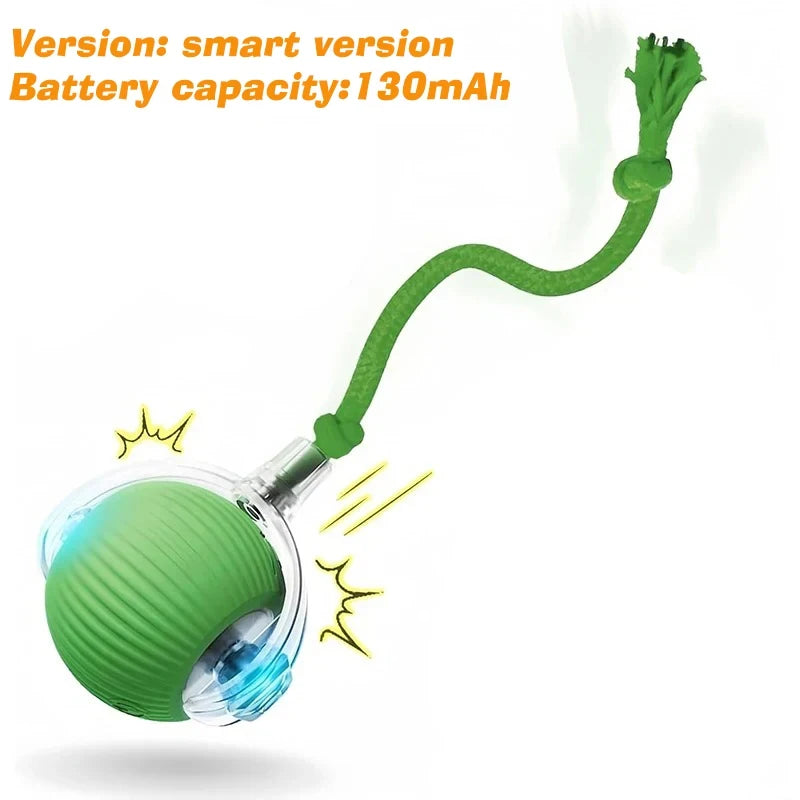 Smart Interactive Dog Ball