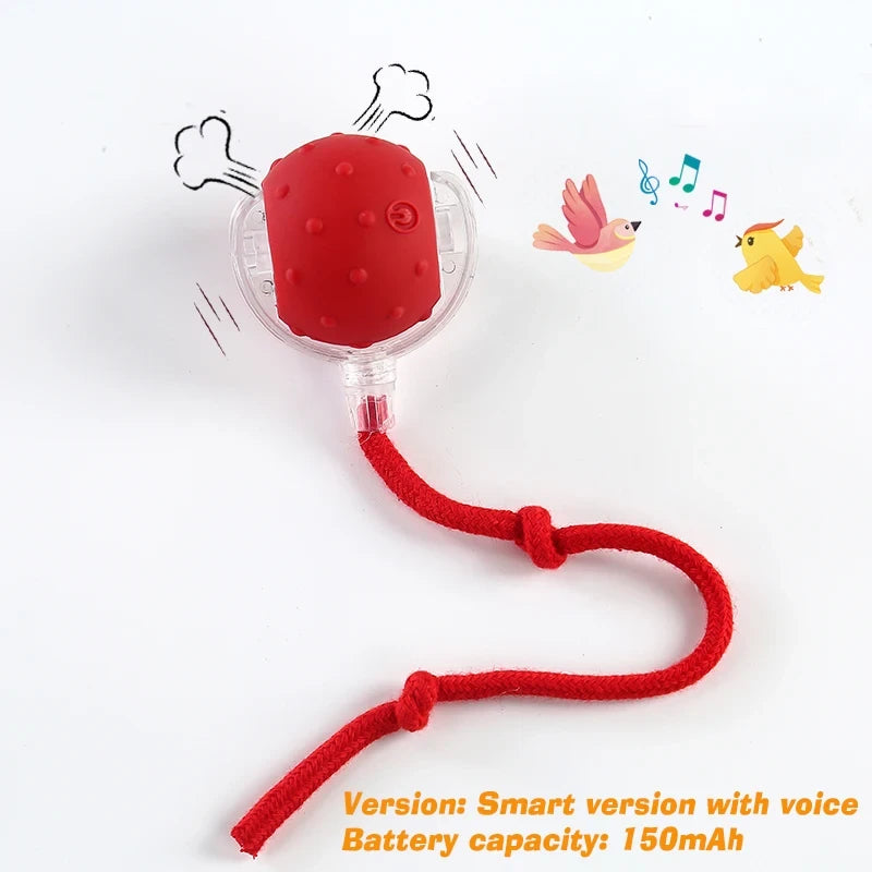 Smart Interactive Dog Ball